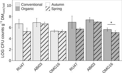 Beneficial microbial consortium improves winter rye performance by modulating bacterial communities in the rhizosphere and enhancing plant nutrient acquisition